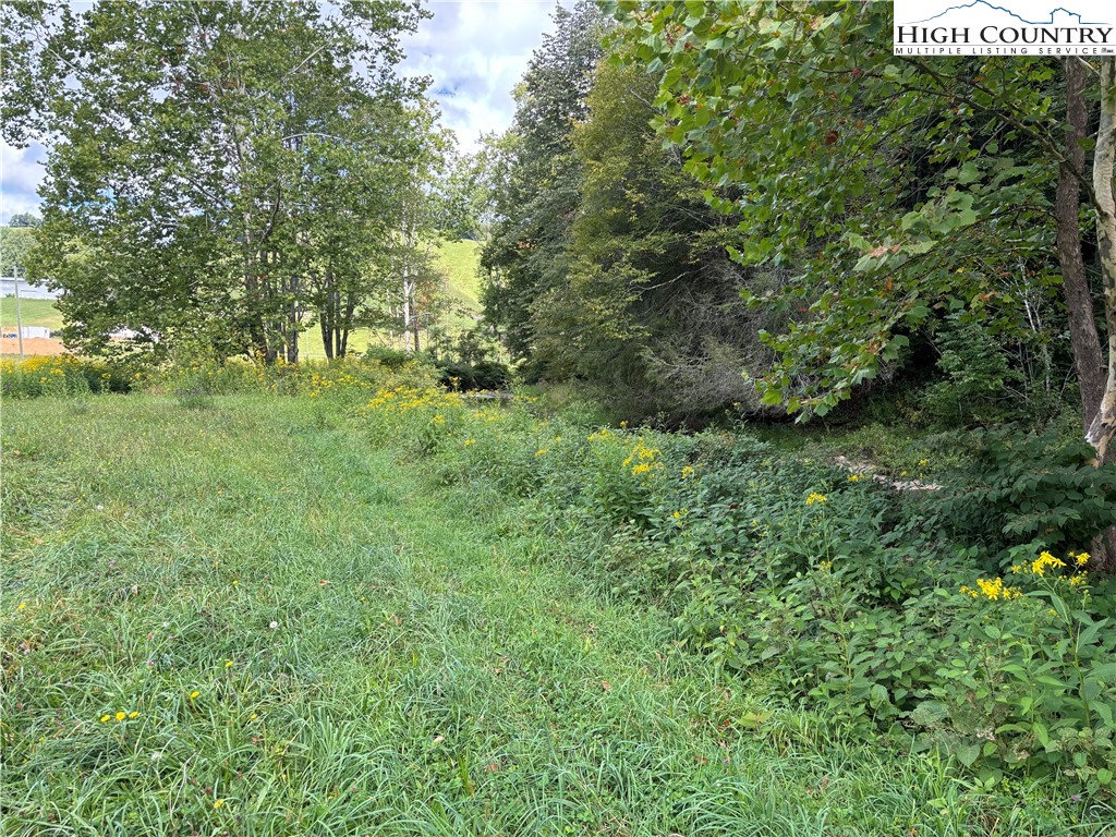 88 W Highway Creston, NC 28615 - Photo 6 of 7