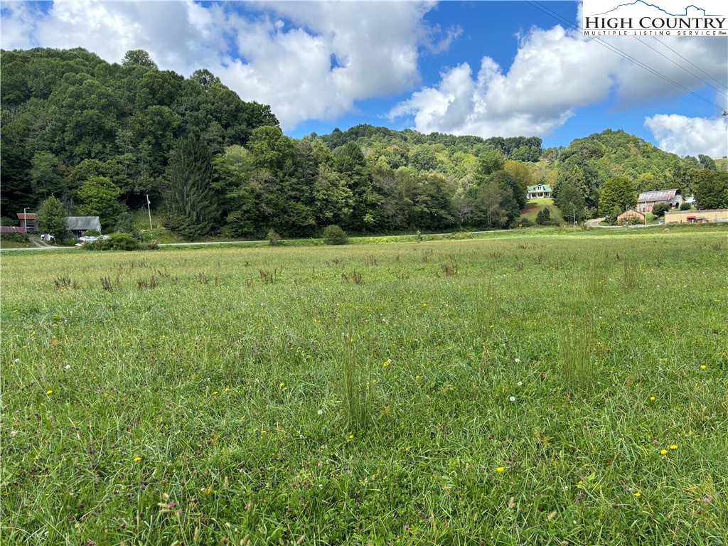 88 W Highway Creston, NC 28615 - Photo 7 of 7