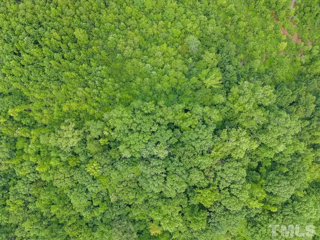 a view of a green field