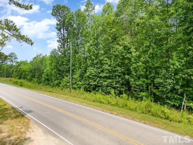 a view of a garden from a window