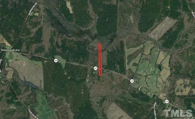 a small pool is sitting in the middle of a forest