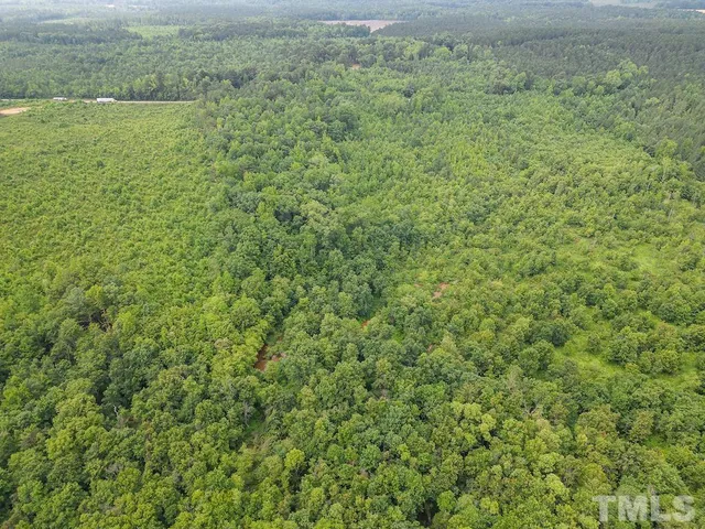 a view of a green field with lots of bushes