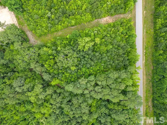 a view of a lush green forest