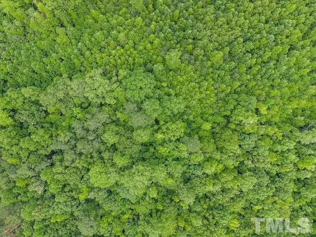 a view of a green field