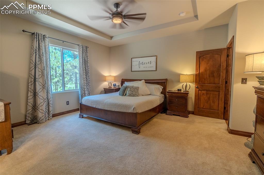 15324 Pole Pine Point Colorado Springs, CO 80908 - Photo 20 of 50 a spacious bedroom with a bed and a chandelier