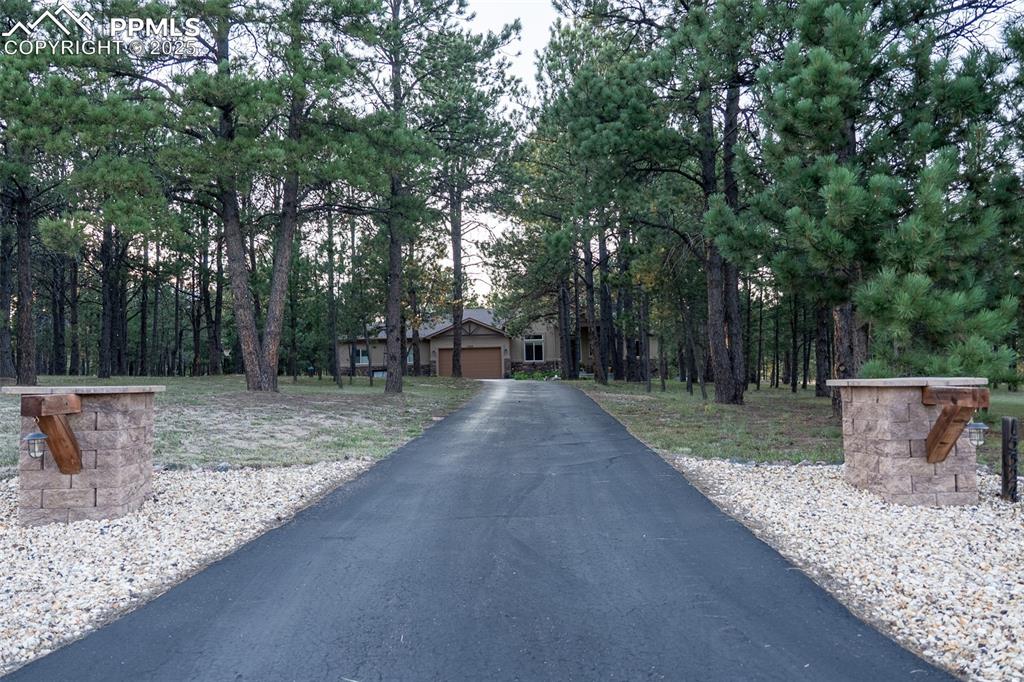15324 Pole Pine Point Colorado Springs, CO 80908 - Photo 3 of 50 a view of a yard with tiny trees