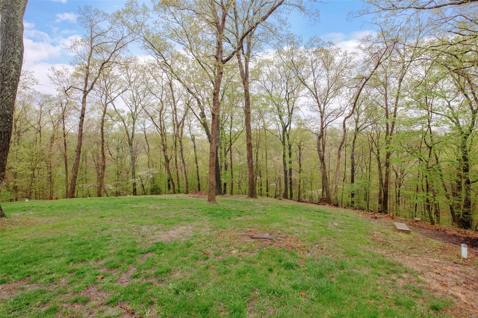 3916 Indian Ridge Lane Defiance, MO 63341 - Photo 3 of 58 Gallery Image 3
