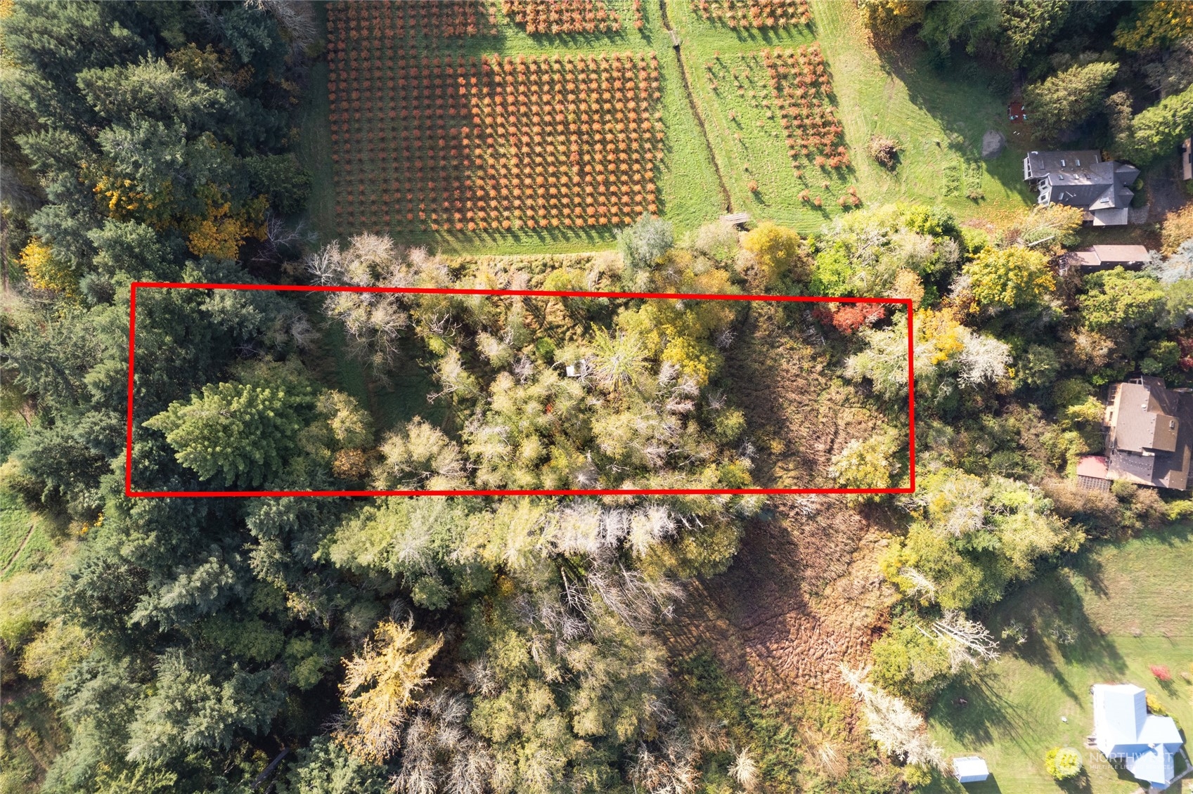 0 Gull Harbor Road Northeast Olympia, WA 98506 - Photo 2 of 10 a picture of flowers