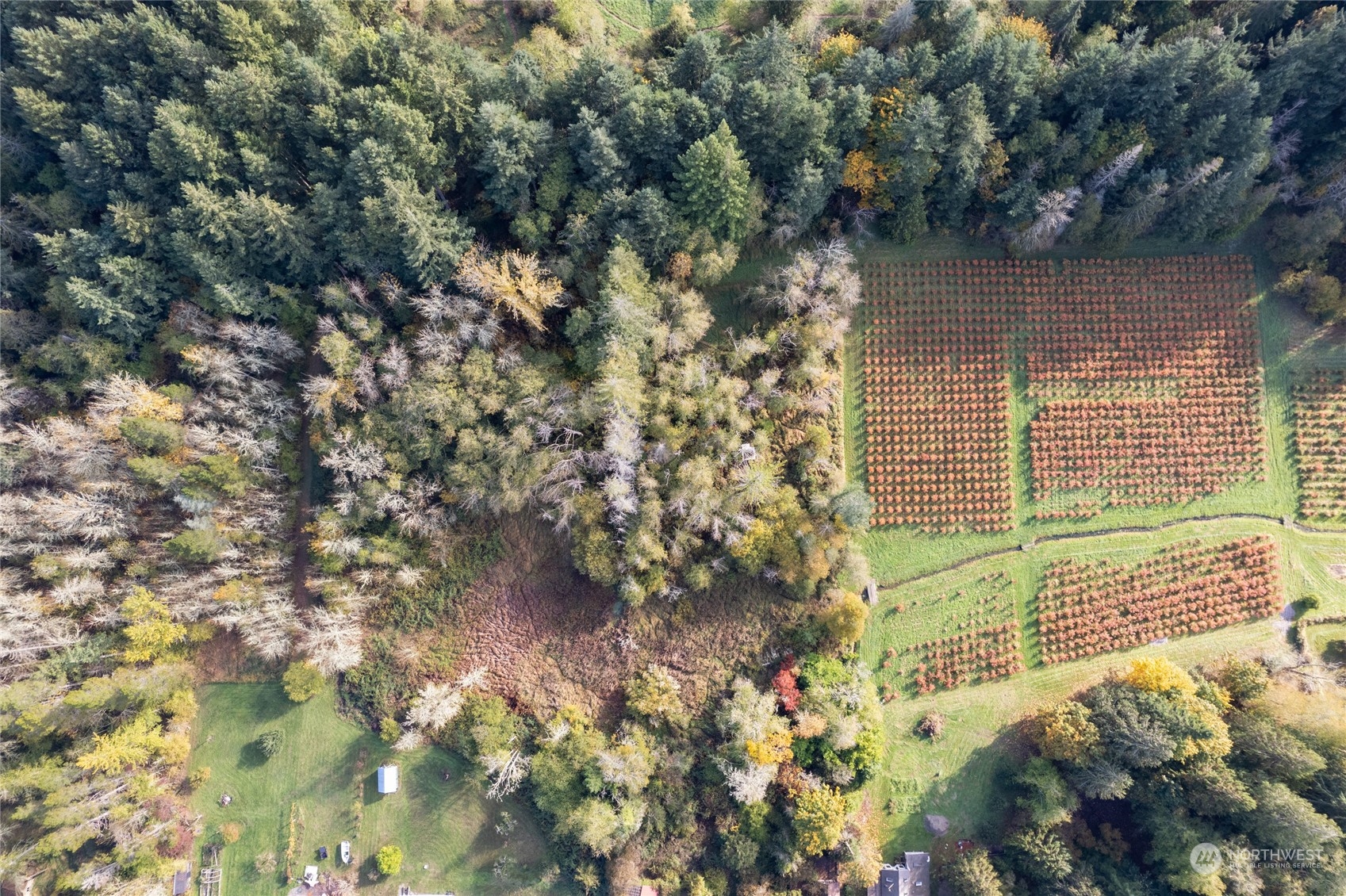 0 Gull Harbor Road Northeast Olympia, WA 98506 - Photo 4 of 10 a view of a backyard
