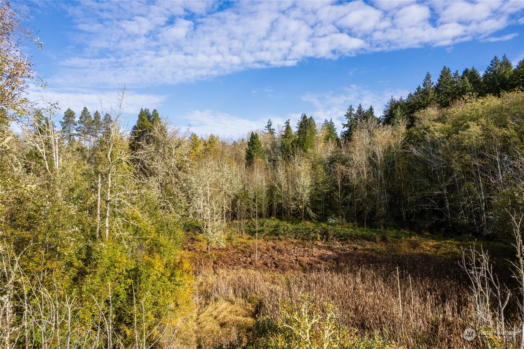 0 Gull Harbor Road Northeast Olympia, WA 98506 - Photo 5 of 10 a view of a yard with a tree in the background