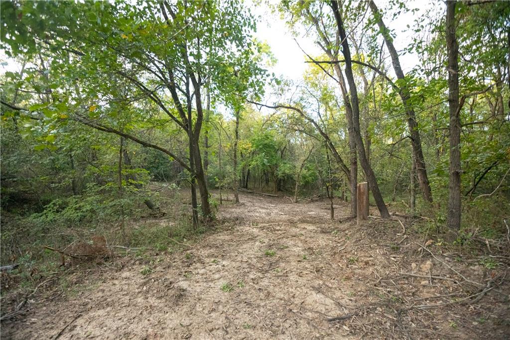 Southeast 651st Road Knob Noster, MO 65336 - Photo 66 of 78 Gallery Image 66