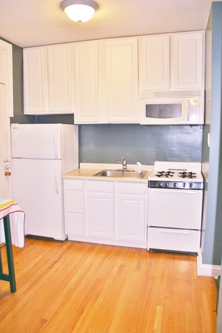 925 West Schubert Avenue, Unit 3D Chicago, IL 60614 - Photo 4 of 14