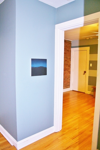 925 West Schubert Avenue, Unit 3D Chicago, IL 60614 - Photo 6 of 14