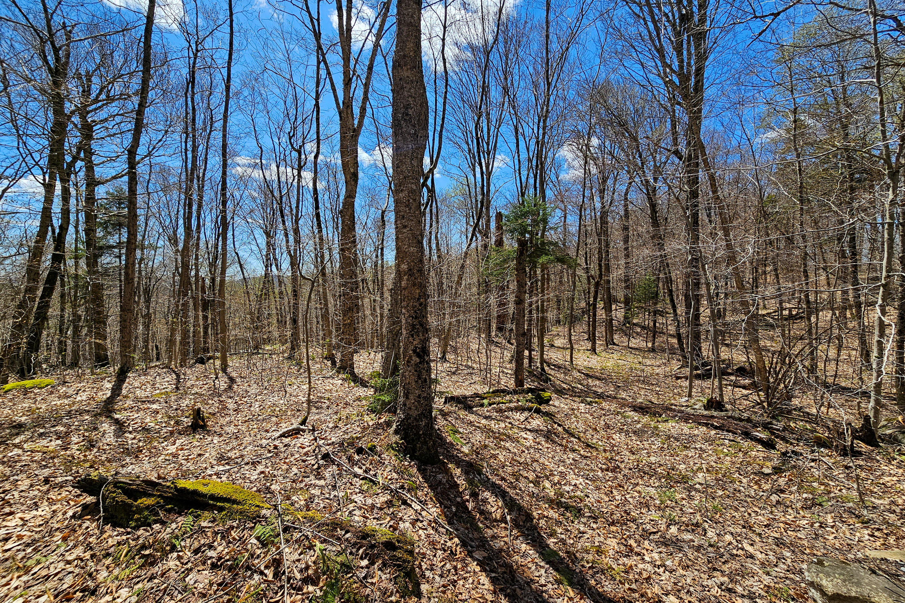0 Palisades Road West Old Forge, NY 13420 - Photo 5 of 15 20250510_130818