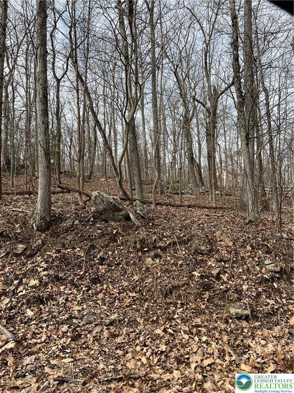 112 Cardinal Road Cresco, PA 18326 - Photo 1 of 5