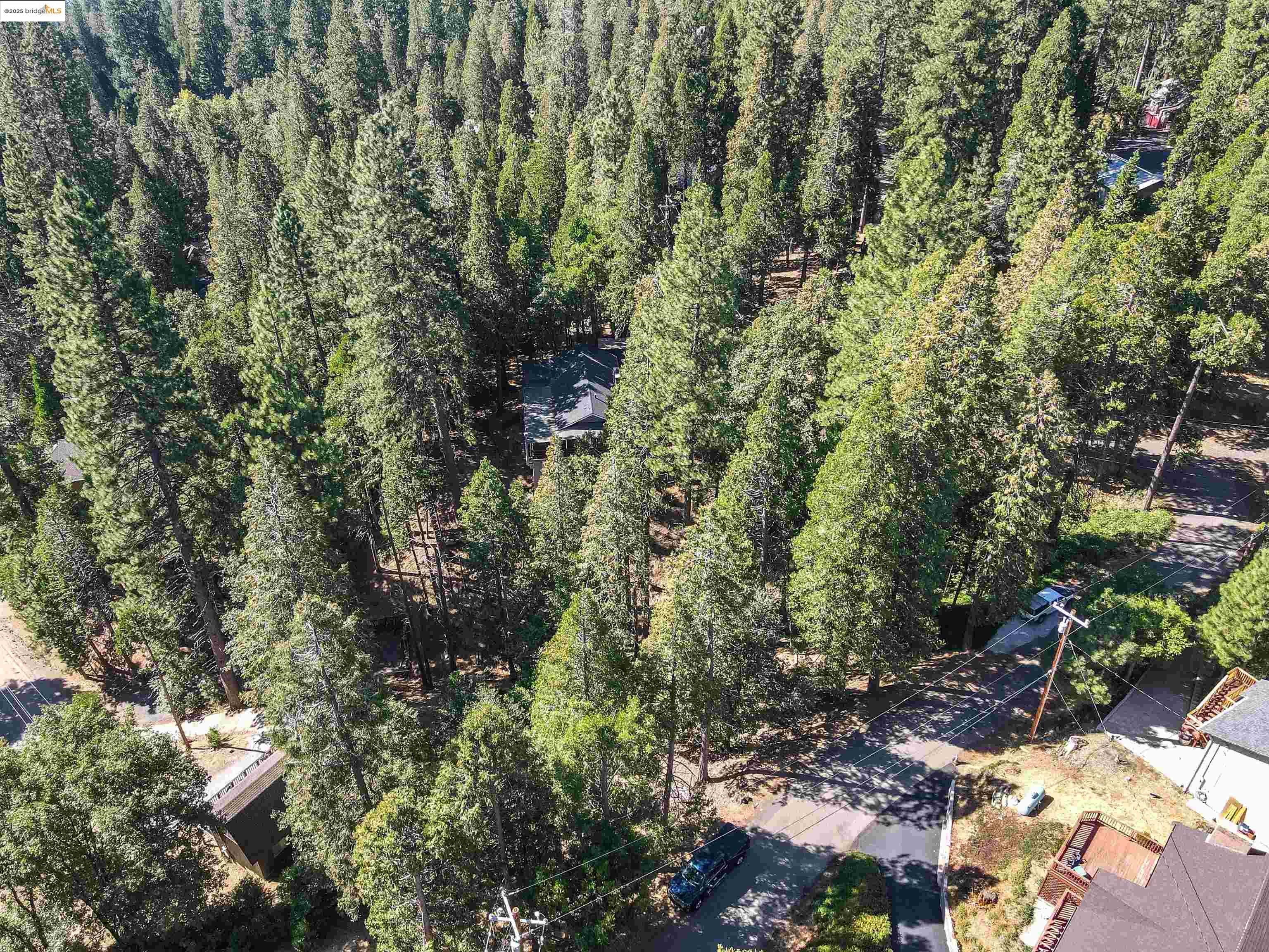 20737 Muheli Road Mi Wuk Village, CA 95346 - Photo 38 of 40 a view of a forest with a tree