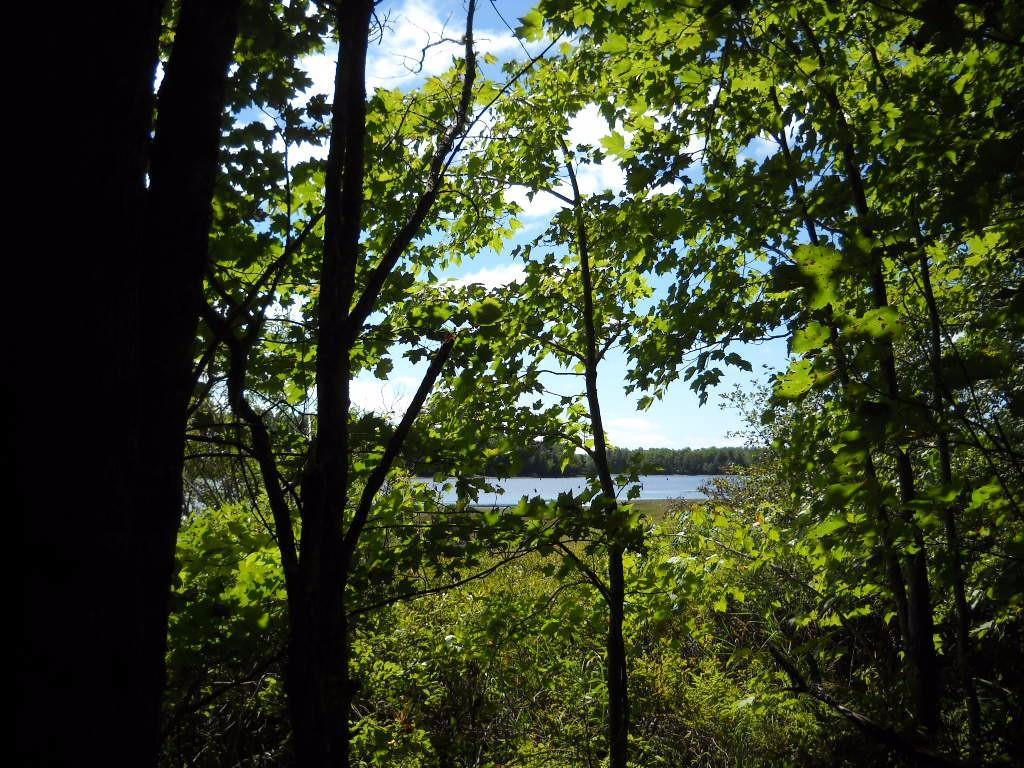 167 Silsby Road Ellsworth, ME 04605 - Photo 10 of 10 Photo