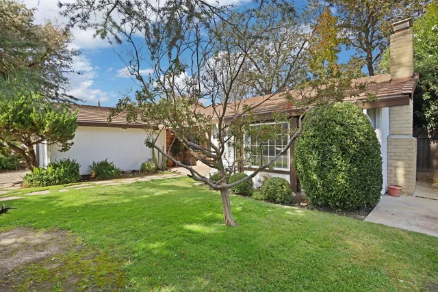 a backyard of a house with plants and large tree