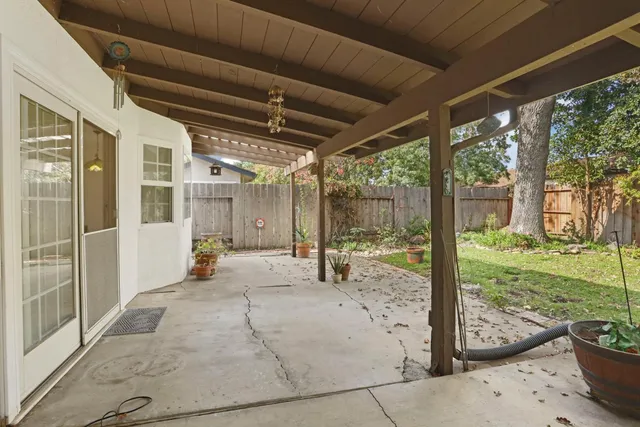 a view of a yard with plants and large trees