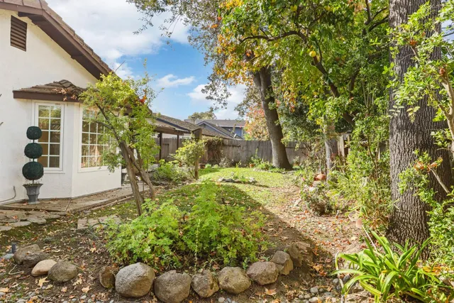a view of a yard with a trees