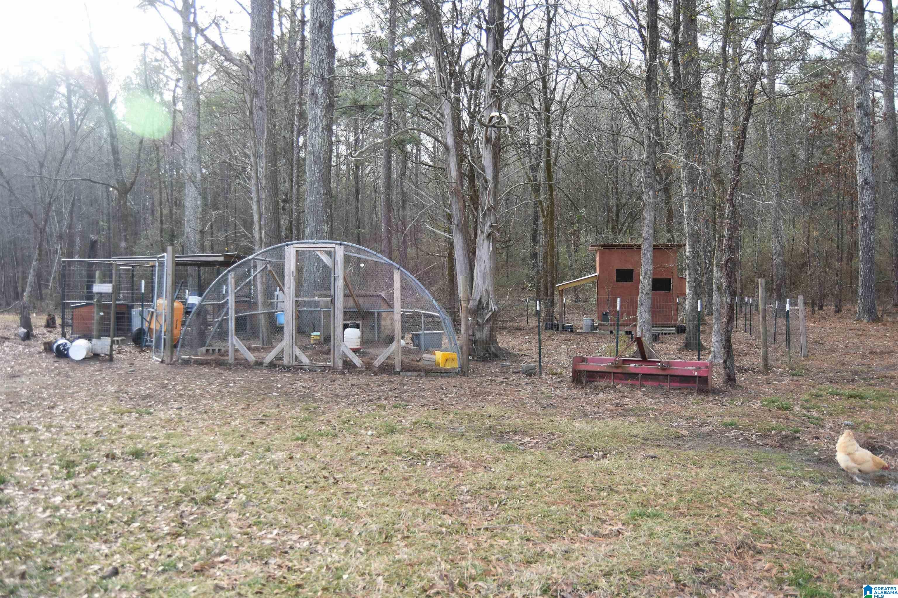 411 Holland-Finley Road Jacksonville, AL 36265 - Photo 65 of 68 Gallery Image 65