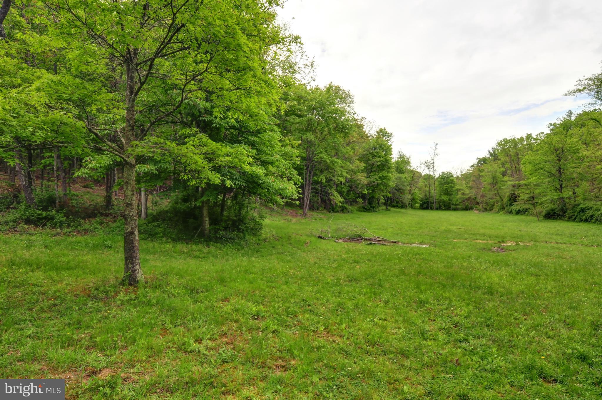 936 Reynolds Road Cross Junction, VA 22625 - Photo 14 of 76 Lower field below the house