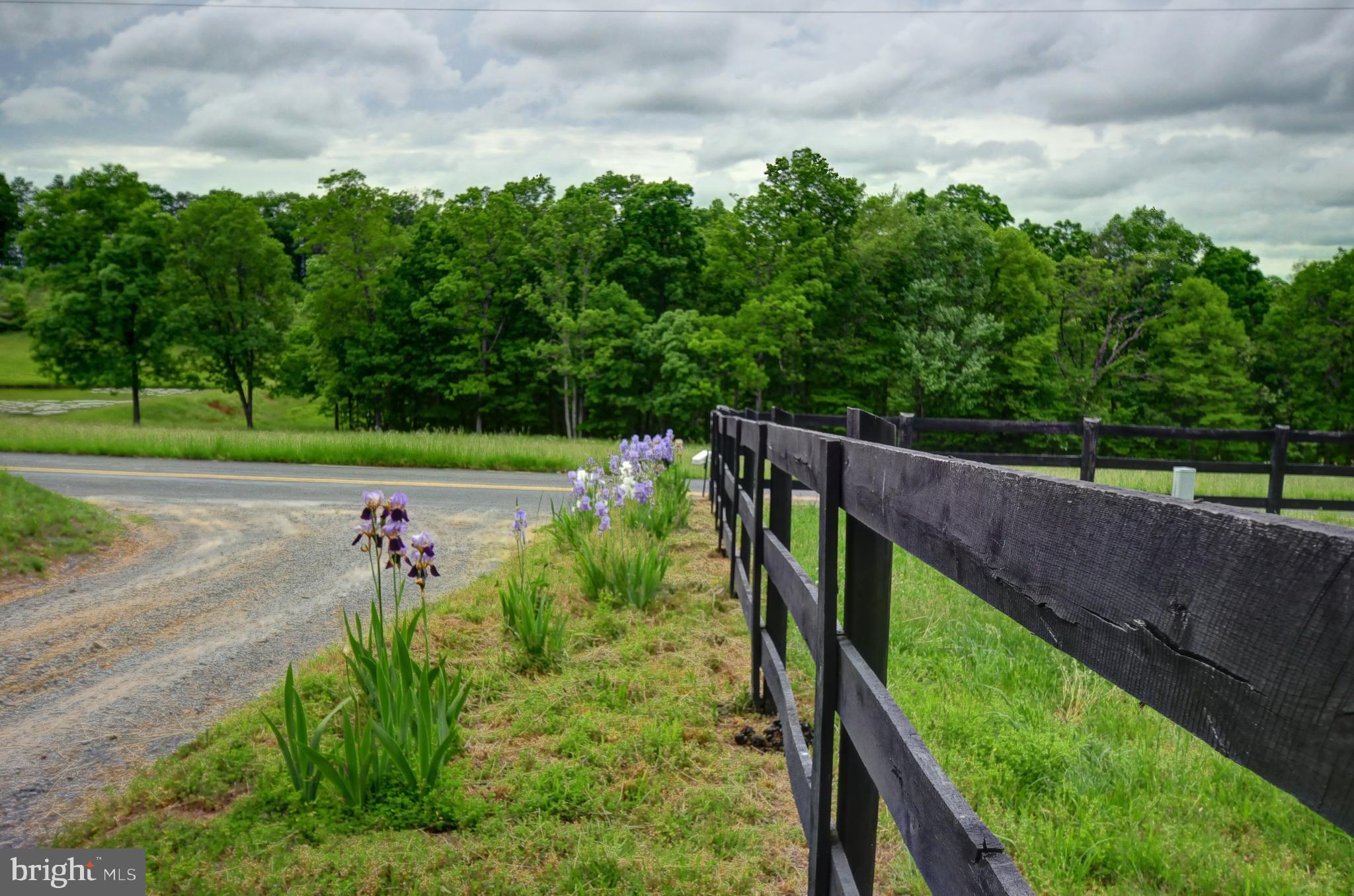 936 Reynolds Road Cross Junction, VA 22625 - Photo 3 of 76 Entrance to the driveway with fence