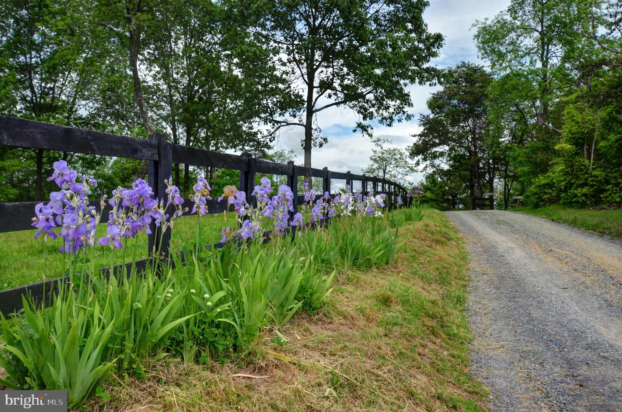 936 Reynolds Road Cross Junction, VA 22625 - Photo 4 of 76 Entrance to the driveway with fence