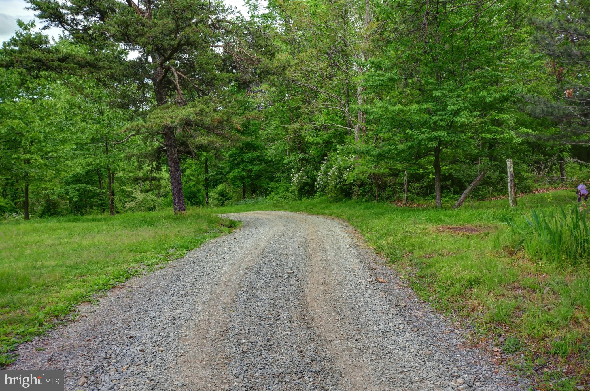 936 Reynolds Road Cross Junction, VA 22625 - Photo 5 of 76 Driveway