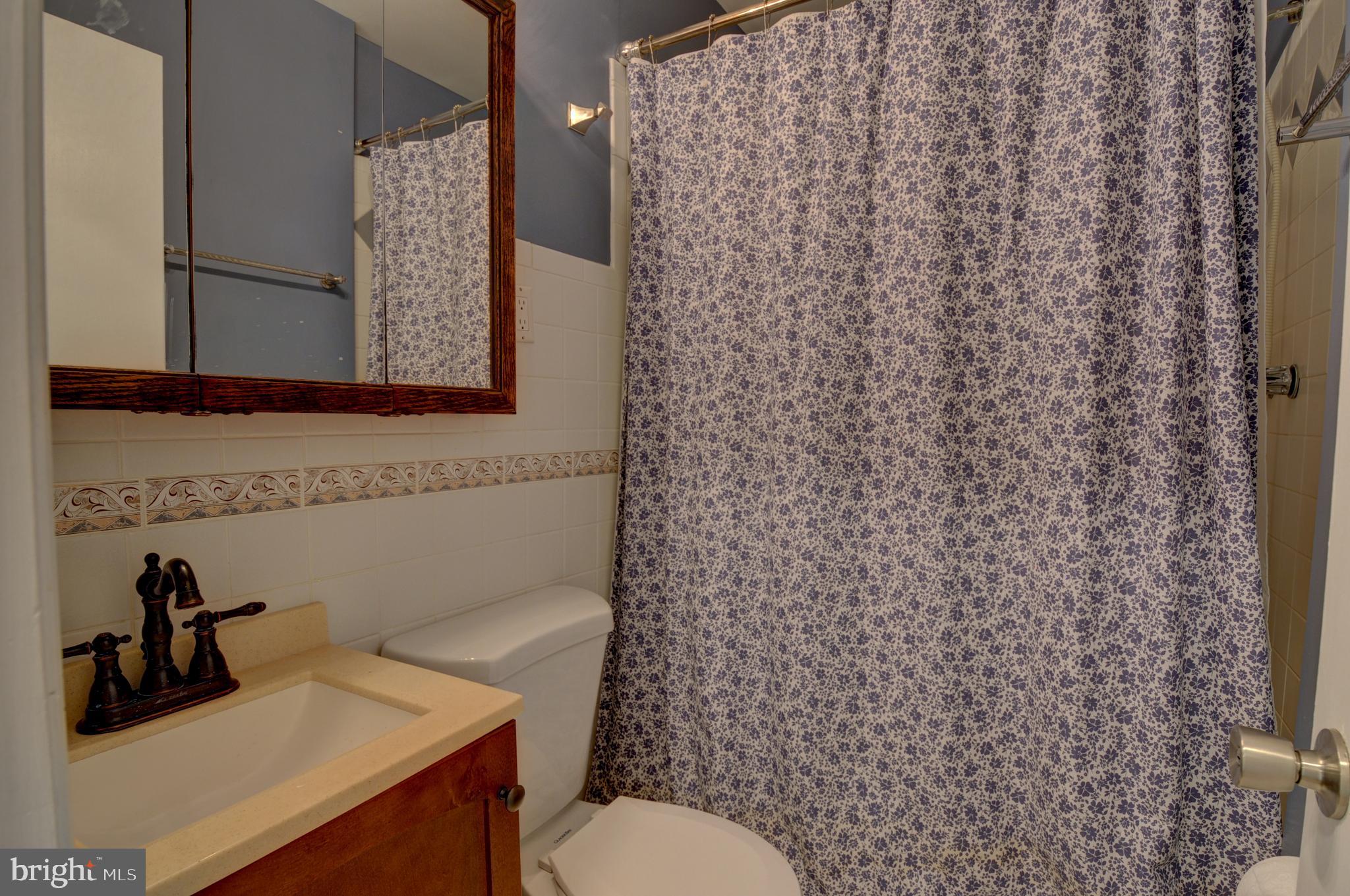 936 Reynolds Road Cross Junction, VA 22625 - Photo 55 of 76 Basement Bathroom