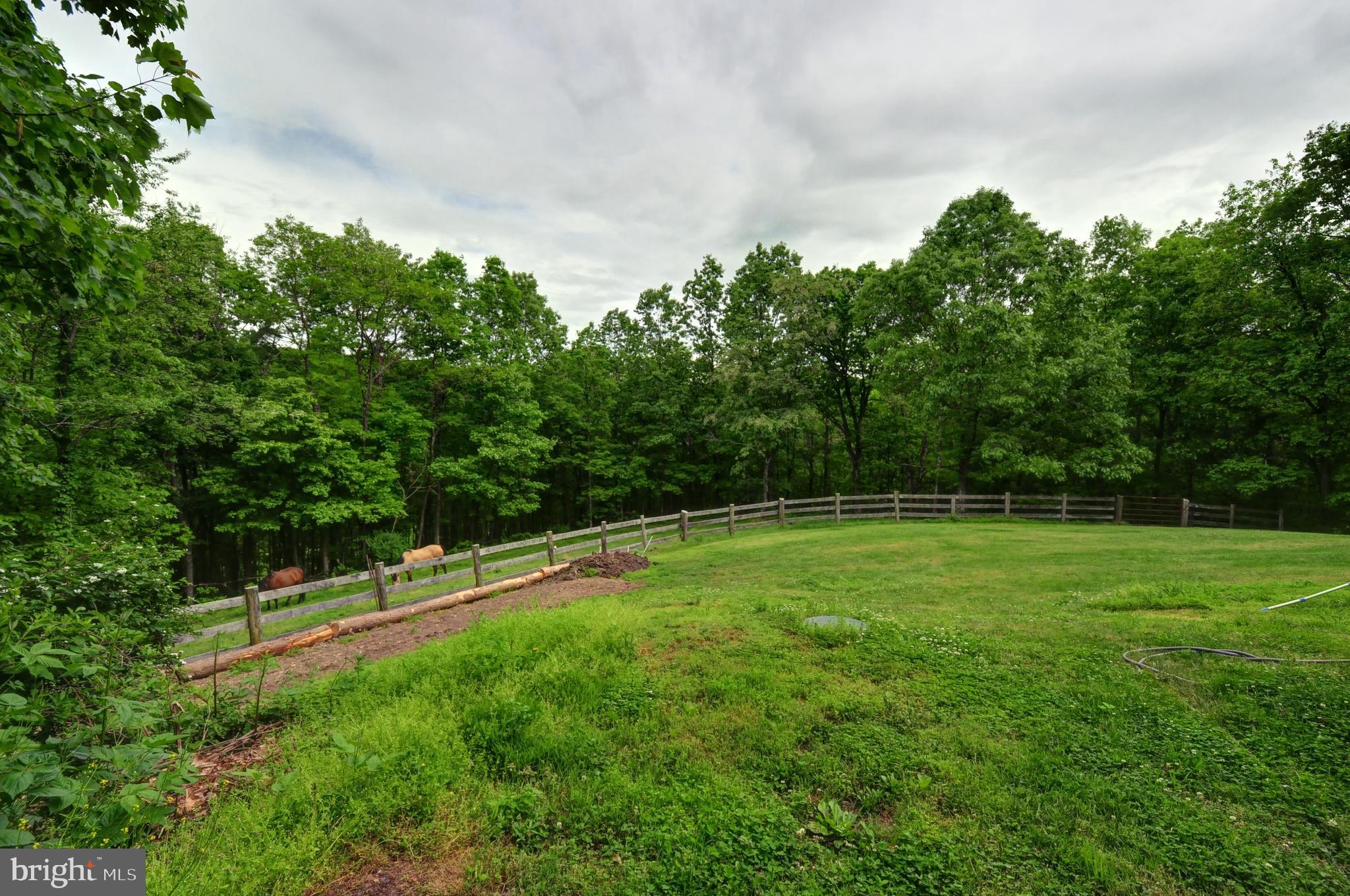 936 Reynolds Road Cross Junction, VA 22625 - Photo 67 of 76 Lower area fence