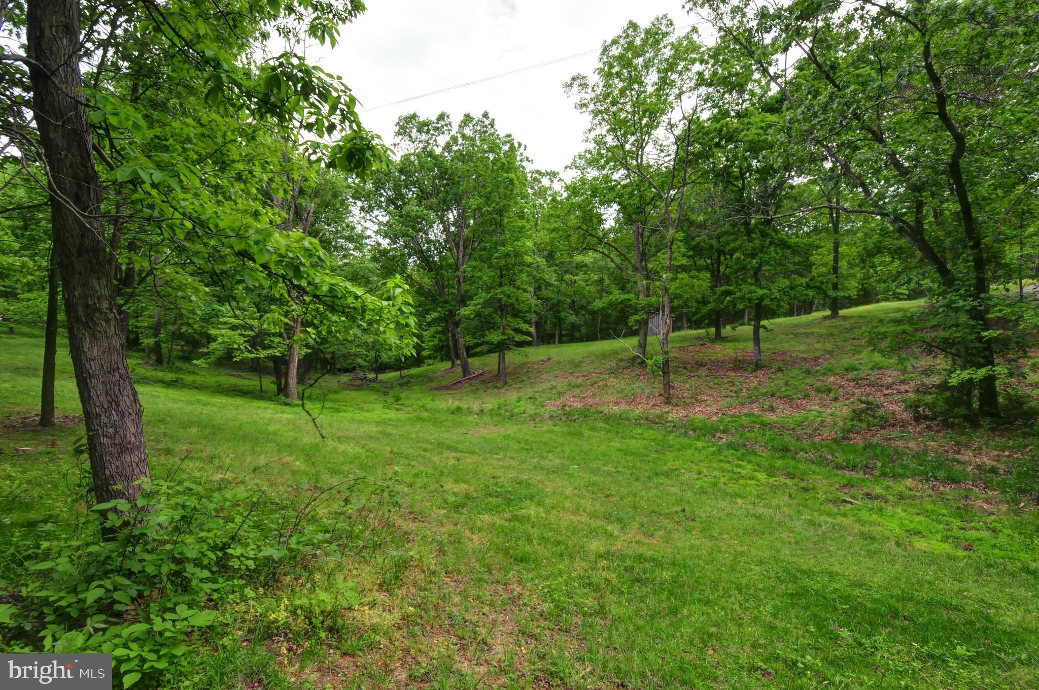 936 Reynolds Road Cross Junction, VA 22625 - Photo 71 of 76 Land beside the driveway