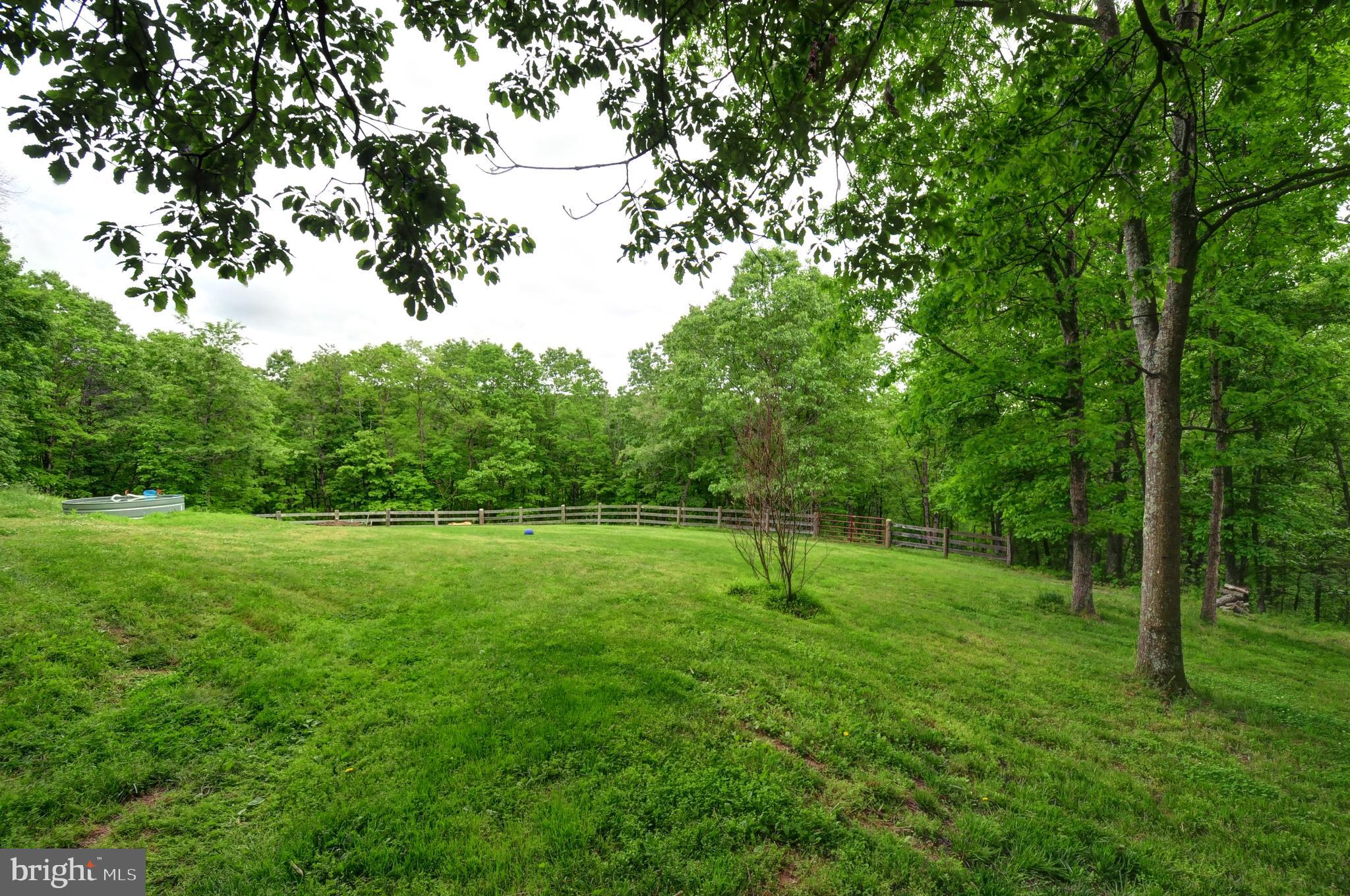 936 Reynolds Road Cross Junction, VA 22625 - Photo 74 of 76 Back yard