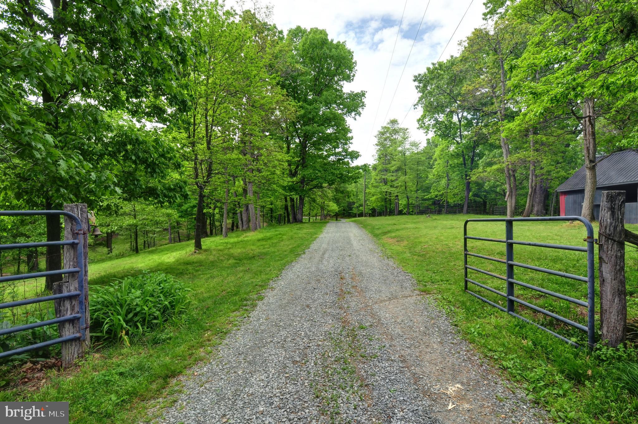936 Reynolds Road Cross Junction, VA 22625 - Photo 9 of 76 Gated Driveway