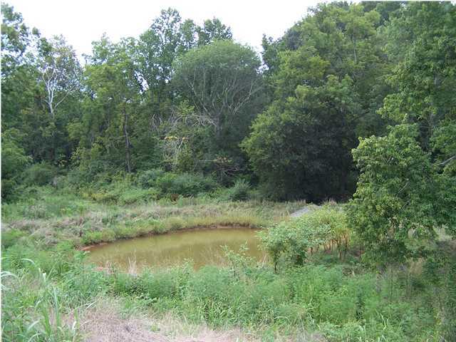 6 Union Hill Road Athens, TN 37303 - Photo 5 of 5 Additional Photo