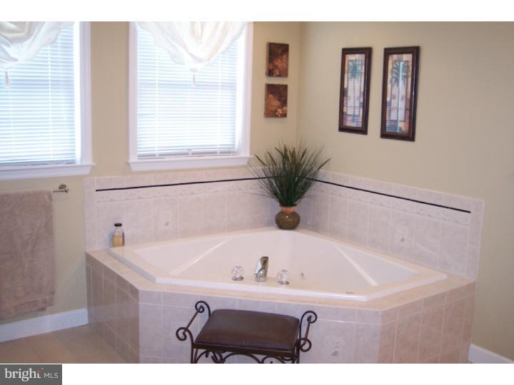 126 Beacon Hill Road Temple, PA 19560 - Photo 18 of 23 Master Bathroom