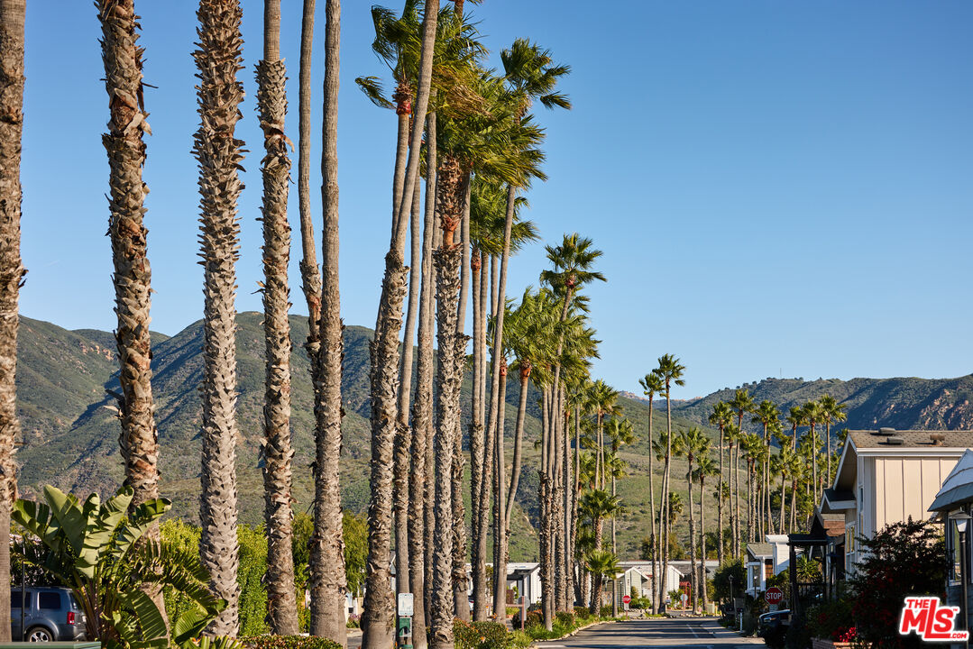 29500 Heathercliff Road, Unit 252 Malibu, CA 90265 - Photo 54 of 65