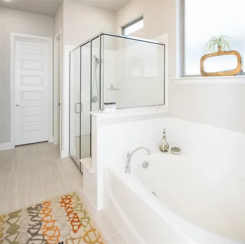 a bathroom with a bathtub and a shower