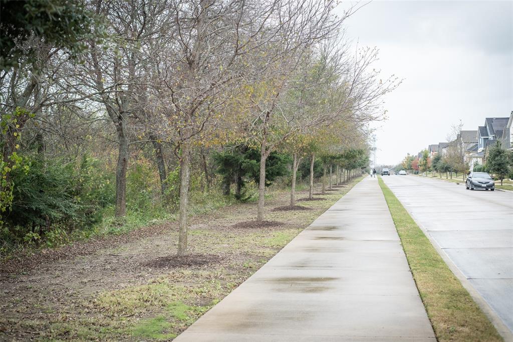 4841 Miles Way Fairview, TX 75069 - Photo 23 of 23 a view of park with large trees