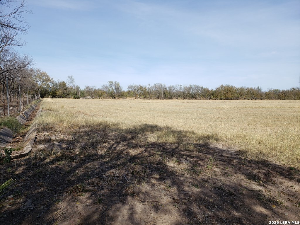 10.01-acres Abdala Road Quemado, TX 78832 - Photo 9 of 15