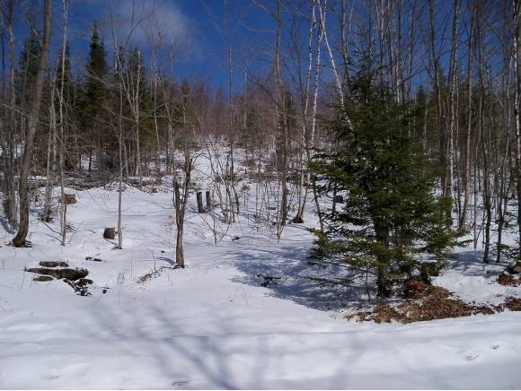 Granby Road, Unit 3 Granby, VT 05840 - Photo 1 of 1