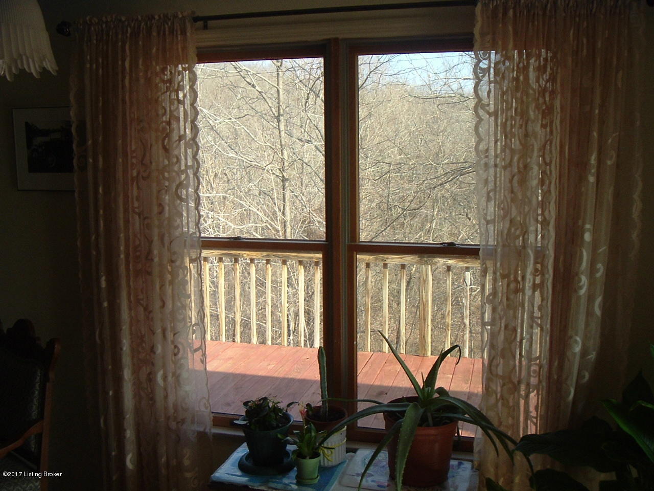 1401 Wildcat Road Lawrenceburg, KY 40342 - Photo 10 of 23 Looking onto rear deck from dining room