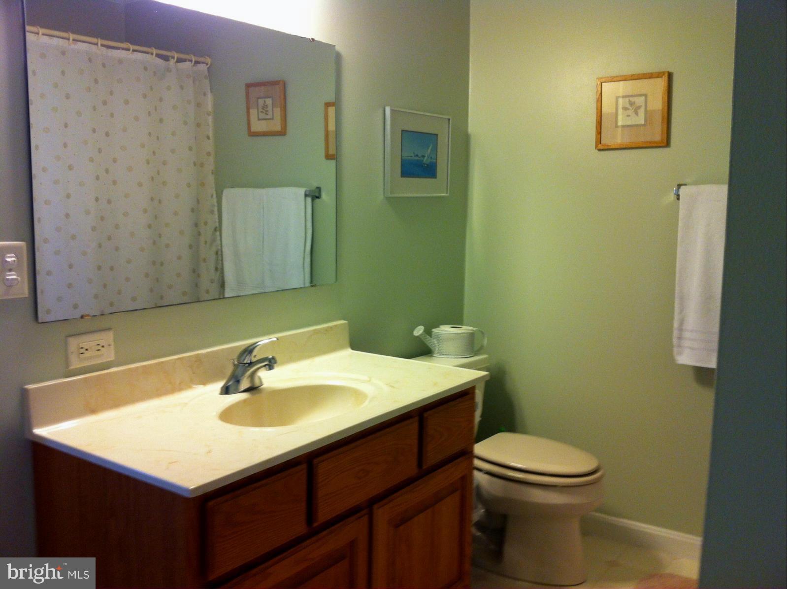 5432 Ragged Point Road Cambridge, MD 21613 - Photo 14 of 27 Main Bath