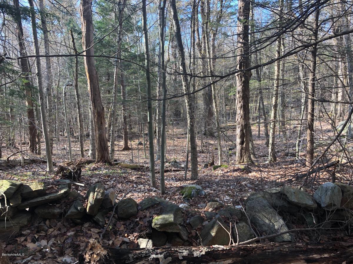 0 Dimmock Road Otis, MA 01253 - Photo 7 of 9 7stonewalls