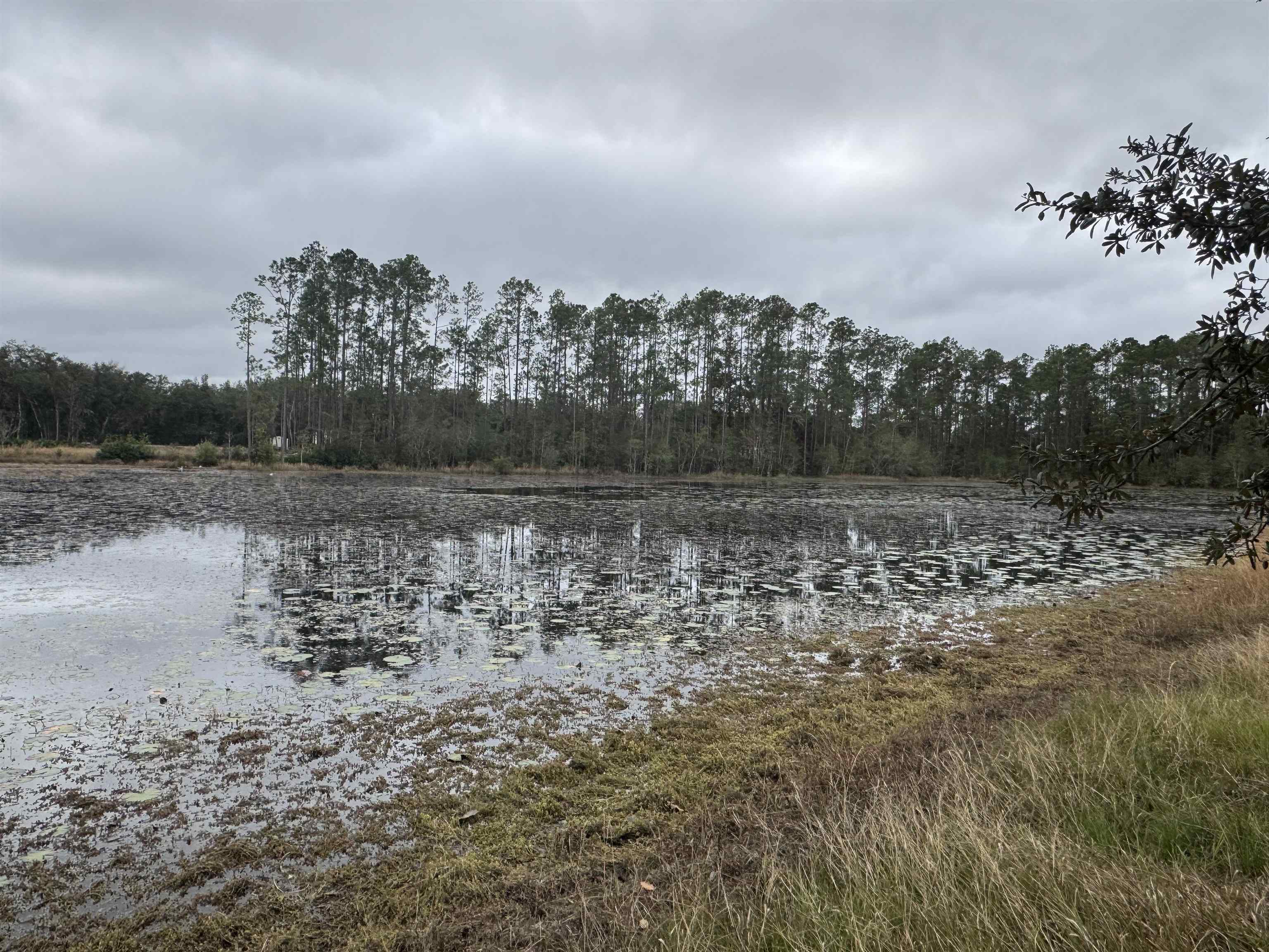 a view of a lake