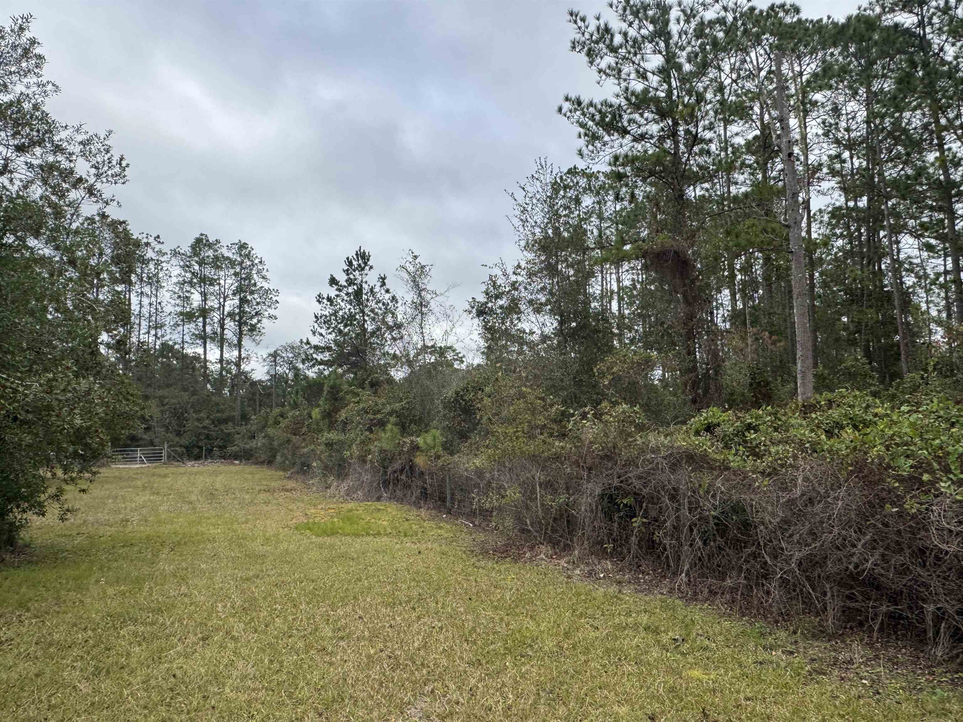 139 Peebles Road Interlachen, FL 32148 - Photo 2 of 8 a view of a lake with trees in the background