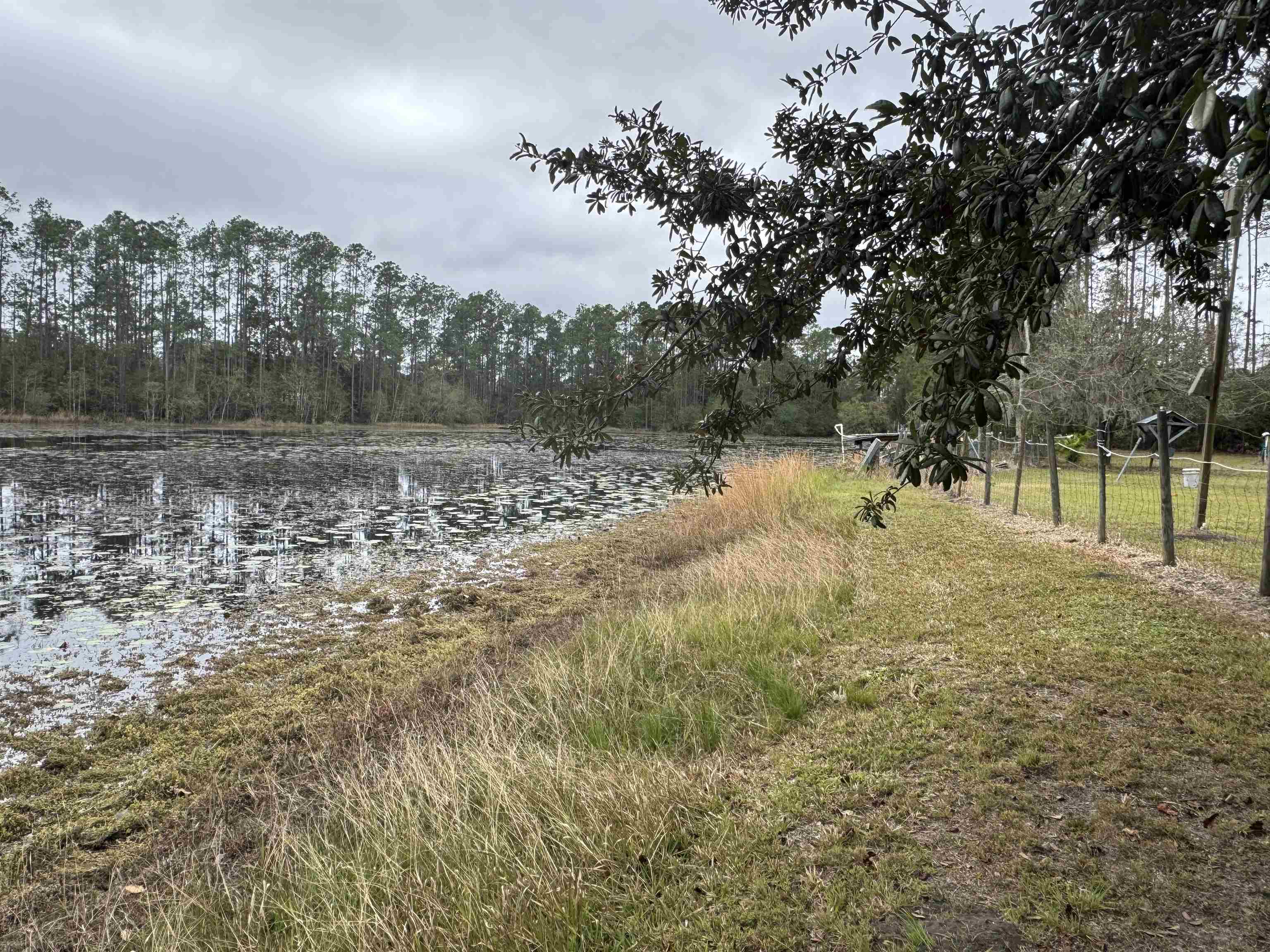 139 Peebles Road Interlachen, FL 32148 - Photo 4 of 8 a view of lake with green space