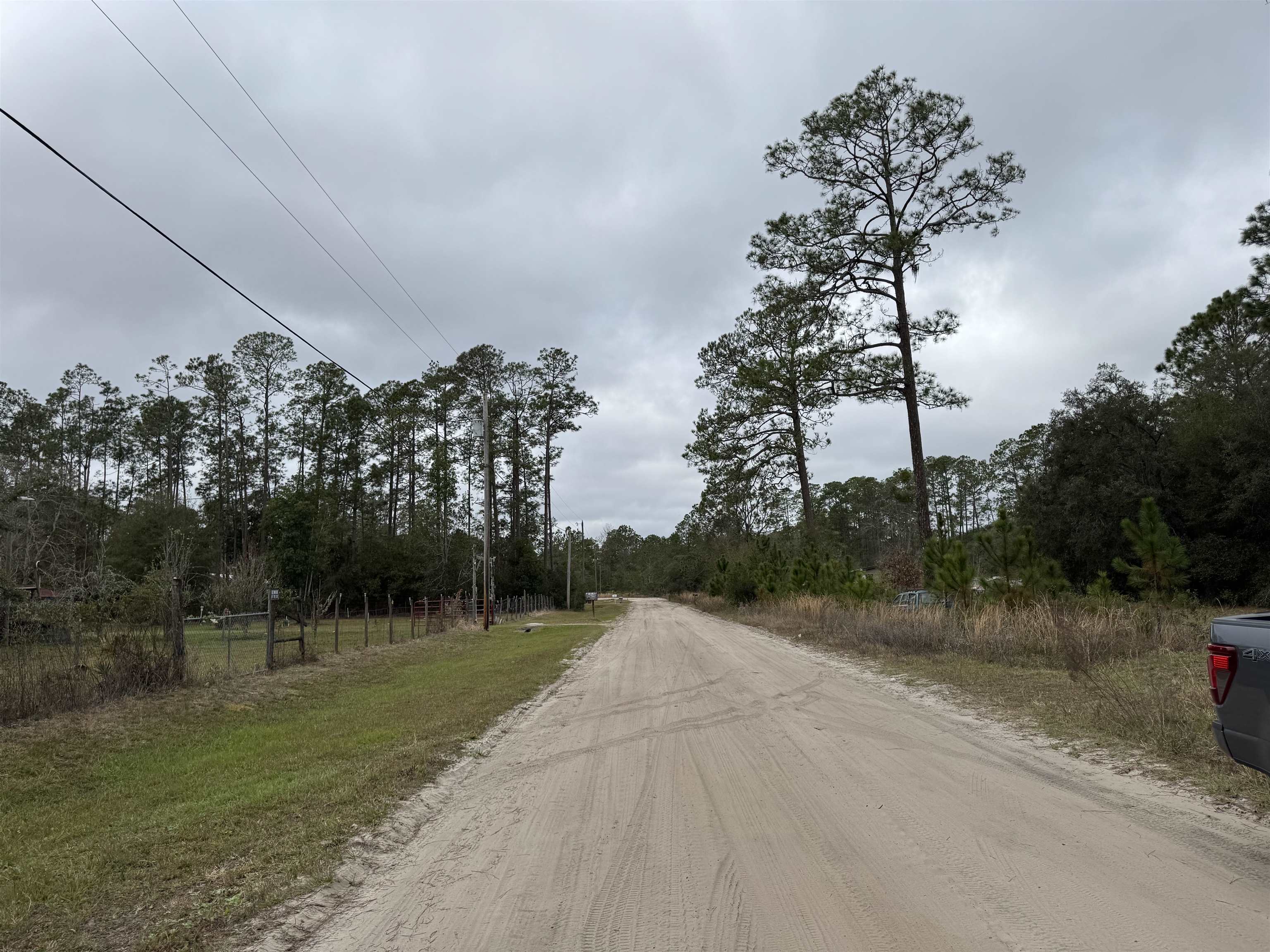 139 Peebles Road Interlachen, FL 32148 - Photo 7 of 8 a view of a park