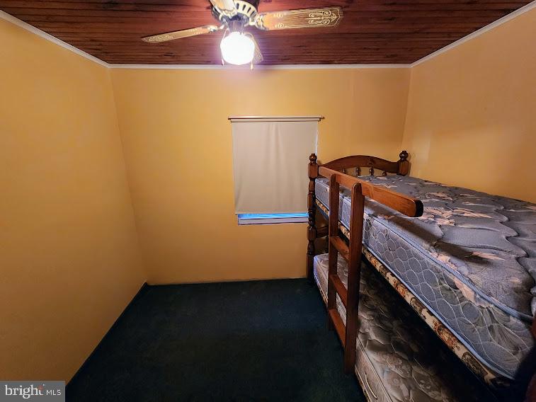 91 River Road Elkton, MD 21921 - Photo 14 of 19 Bedroom II