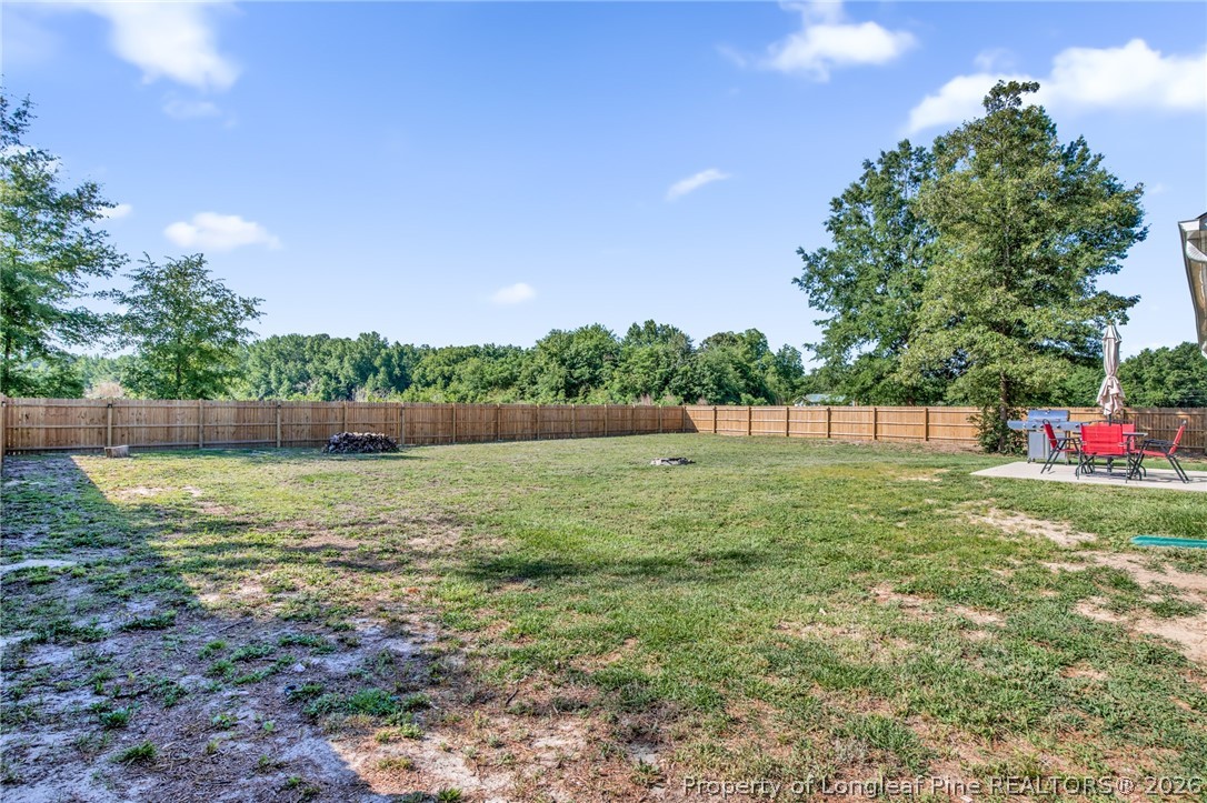 351 Sandy Grove Road Parkton, NC 28371 - Photo 27 of 30 a view of outdoor space with deck and yard